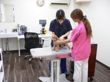 元気どうぶつクリニック